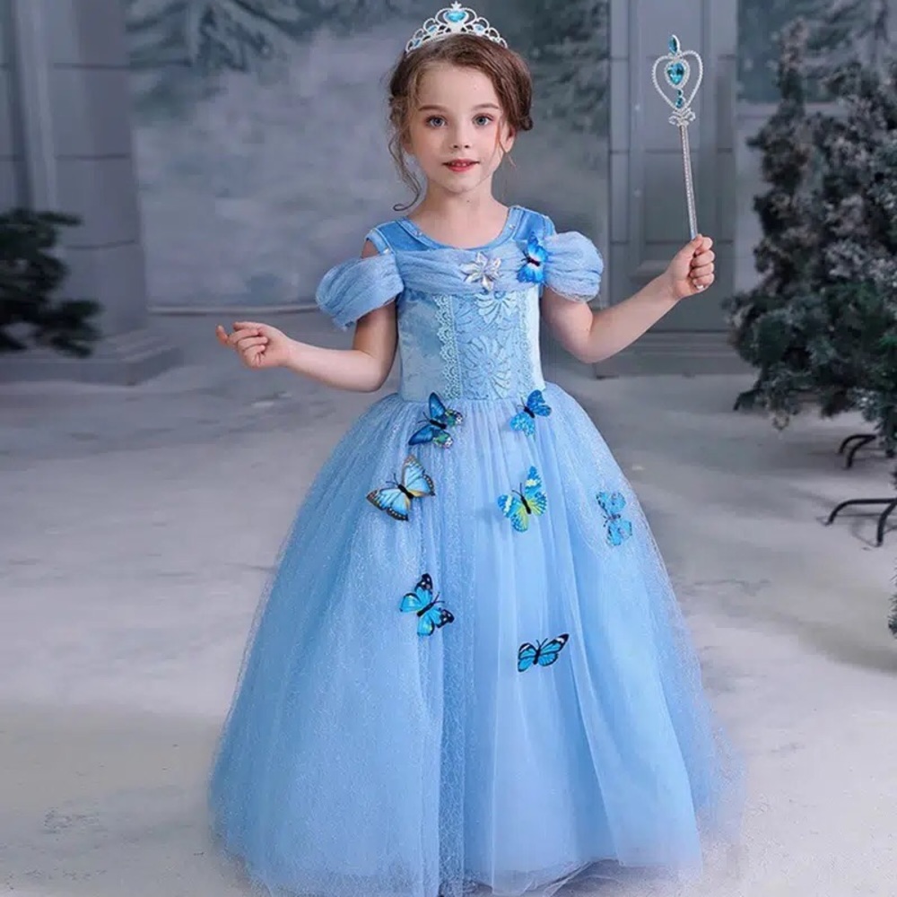 Princess Costume Butterfly Dress